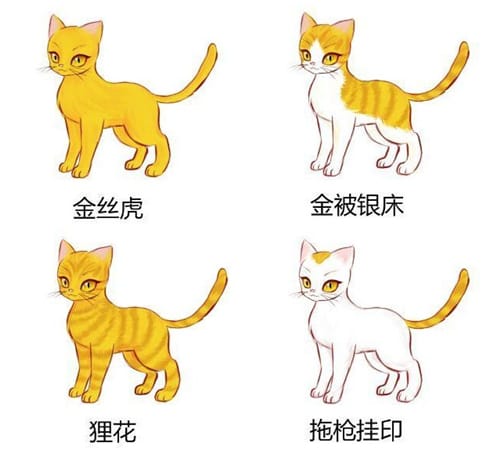 猫咪在古代的名字有哪些