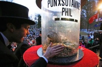 美国宾夕凡尼亚州著名土拨鼠“菲尔”（Punxsutawney Phil）预测距冬天结束尚余6周