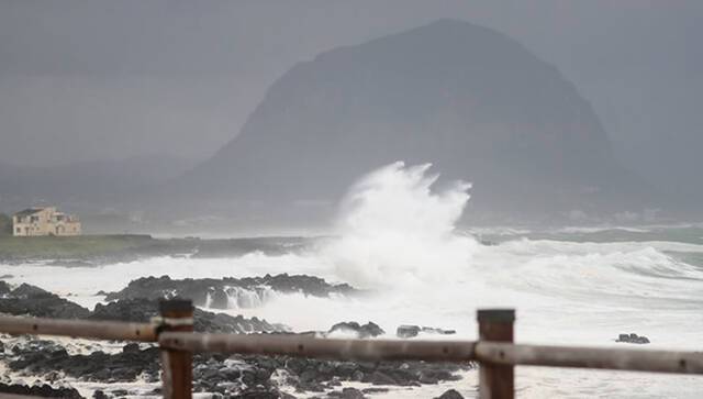 日本“奄美大岛、德之岛、冲绳岛北部与西表岛”登记为世界自然遗产