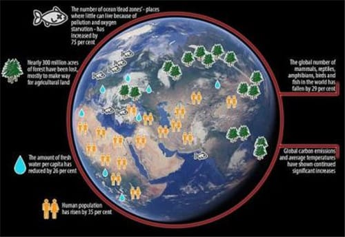 地球第五次生物大灭绝：生物消失了三分之一，人类统治地球