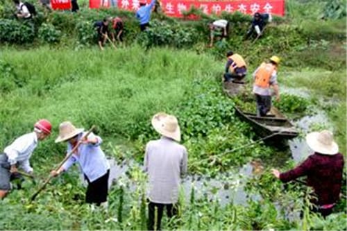 生物入侵的原因是什么