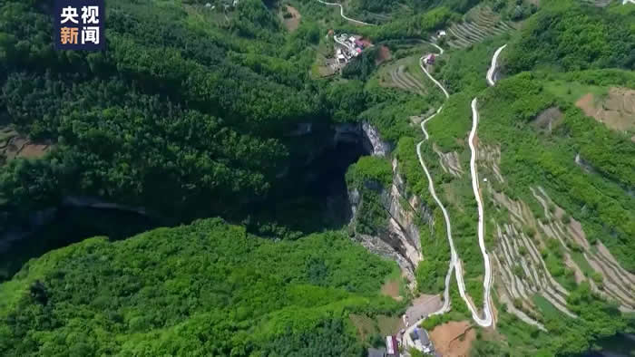 世界最大规模天坑群——陕西汉中天坑群首次发现大量古生物化石