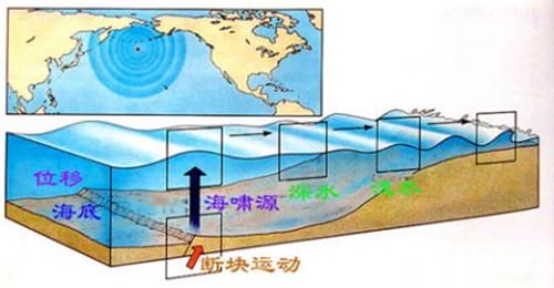 海啸来袭是跑向内陆好还是迎面扎进水里好