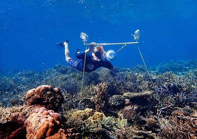 海洋生物学家在水底播珊瑚声吸引鱼群 或助大堡礁重现生机