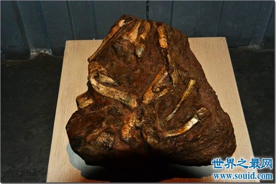 中国境内最早的人类，元谋人源于1700000年前！