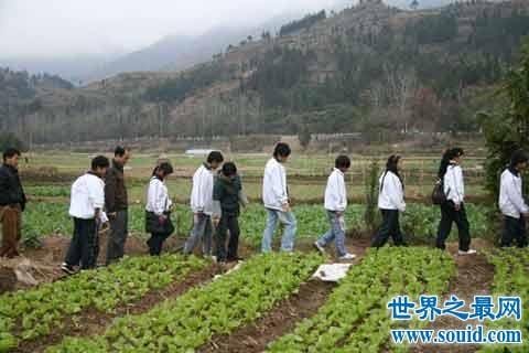 热门专业排名前十，社会竟然最需要这种人才！