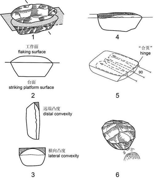 观音洞遗址不存在勒瓦娄哇技术——高星团队发表对“中国最早的勒瓦娄哇技术”的评述