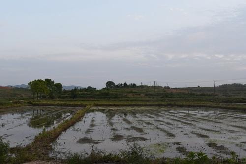 湖南华容庙里湾遗址考古发掘收获