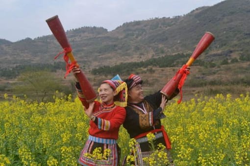 赶鸟节是什么节?哪个民族的节气?