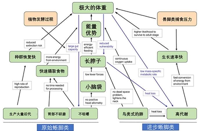 Science杂志创刊125周年指出最具挑战性的科学前沿问题：一些恐龙为什么如此庞大？