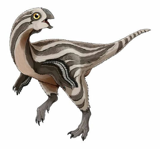 蒙古戈壁沙漠发现新恐龙——虎尾龙Gobiraptor minutus