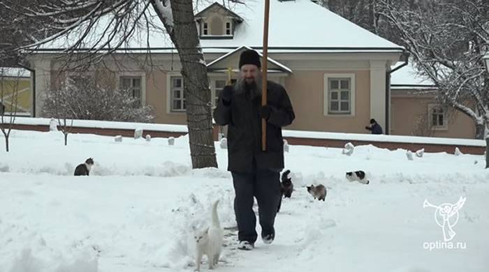 俄罗斯一群猫咪每天都会跟着进行祈福仪式的修道院神职人员