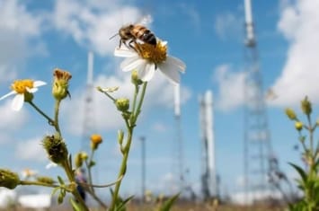 美国联邦通信委员会（FCC）批准SpaceX发射7000余颗卫星的计划