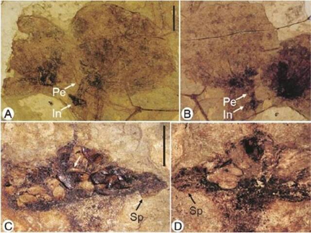 珠穆朗玛峰一直就像《攀登者》里的那样？有人用20年发现一个你不知道的青藏高原