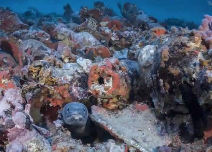 西班牙马约卡岛附近海底发现1800前罗马帝国沉船 船上装满橄榄油、葡萄酒及番茄酱