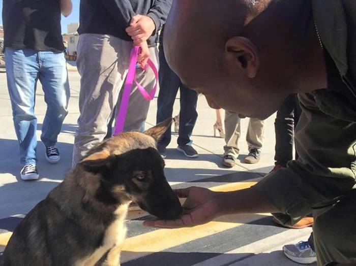 美国名叫“月亮”的德国狼犬陪主人钓鱼落海 失踪1个月游1.6公里回家