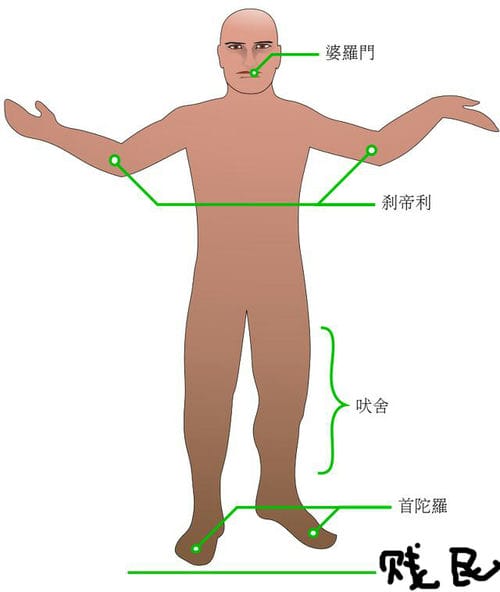 印度的“贱民”是如何产生的?愚昧的血统论才是真相