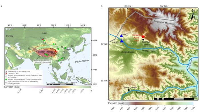 青藏高原发现16万年前中更新世晚期的丹尼索瓦人下颌骨化石