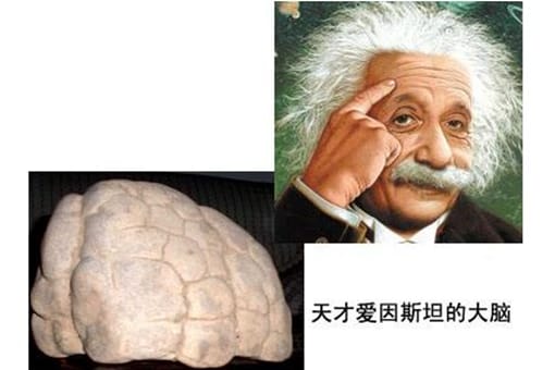 爱因斯坦智商有多高?到底有多聪明?