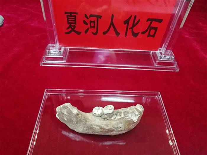 陈发虎团队夏河丹尼索瓦人研究最新进展：EPAS1基因可能源自夏河人