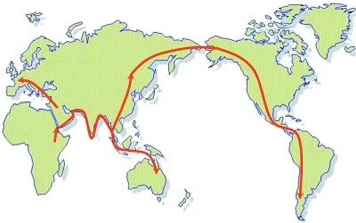 人类从哪里来？现代中国人有三位“超级男性祖先”