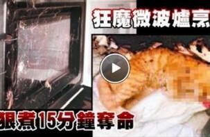 微波炉虐猫事件真相，男子嫌猫吵将猫放入微波炉活活烧死