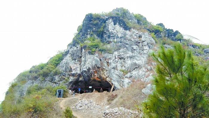 湖湘万年古水稻改写历史