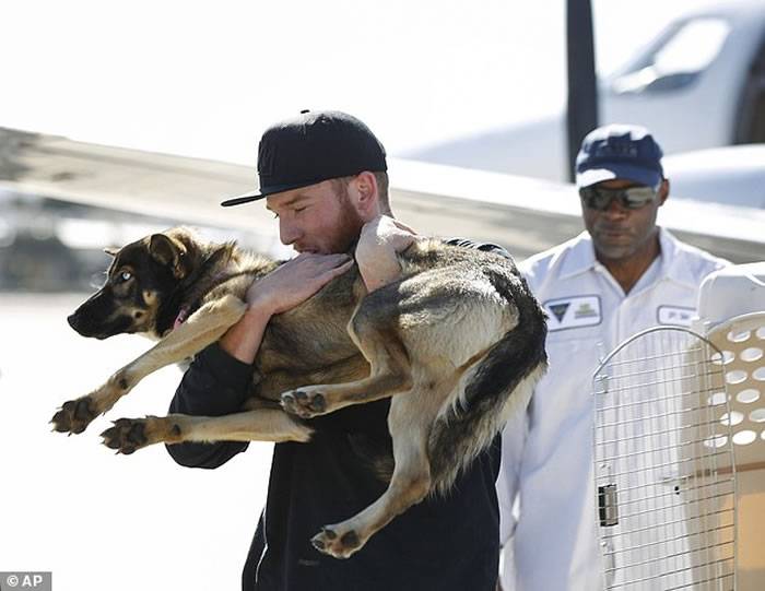 美国名叫“月亮”的德国狼犬陪主人钓鱼落海 失踪1个月游1.6公里回家