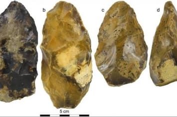 法国北部有古人类居住的时间较以往所知的提前15万年