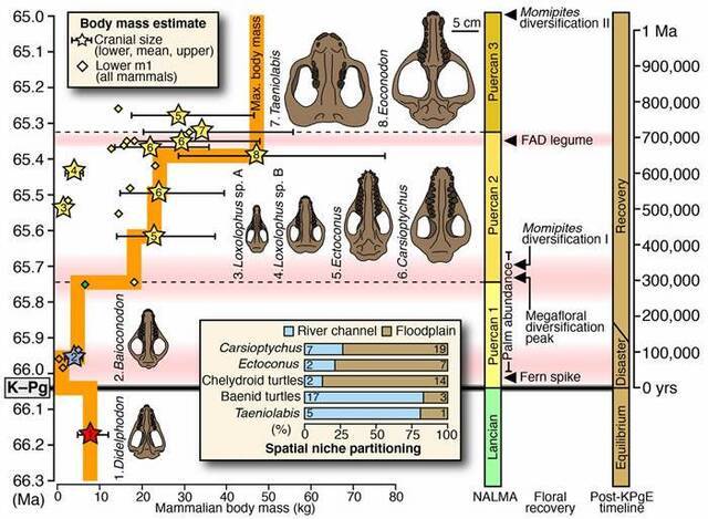 美国科罗拉多州化石显示6600万年前小行星撞击后地球上的生命是如何复苏的