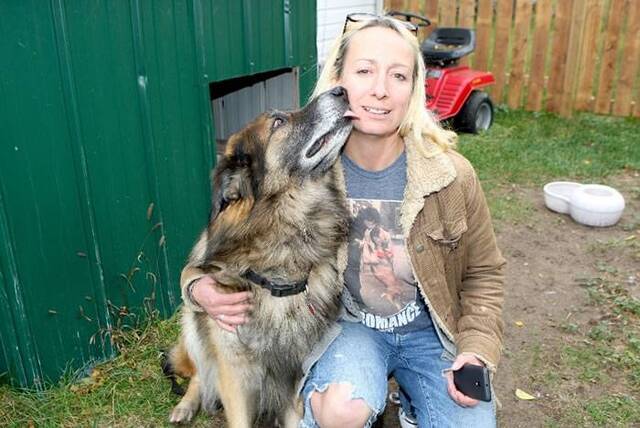 加拿大警察误认21岁老牧牛犬是草原狼 开枪射击和三次碾压杀死