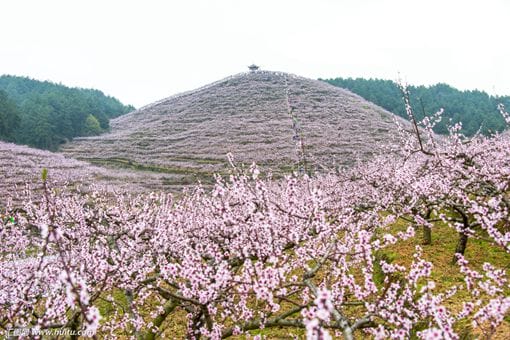 中国古代鬼神传说中的千里眼与顺风耳是兄弟吗?