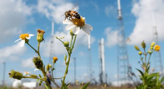 美国联邦通信委员会（FCC）批准SpaceX发射7000余颗卫星的计划