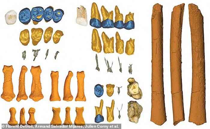 菲律宾吕宋岛卡劳洞穴发现数万年前全新人种“吕宋人”（Homo luzonensis）化石