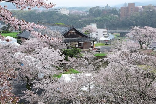 日本昭和第一次惨案“津山惨案”是怎样的?因为什么而发生?