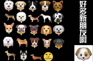 英团体推汪星人emoji 23种真实狗狗为蓝本