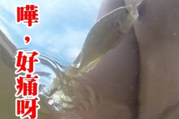 美国犹他州男子湖中浸浴惨遭小鱼咬乳头